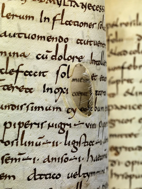 Lorscher Arzneibuch - Staatsbibliothek Bamberg Msc.Med.1, Lorsch, Anfang 9. Jh. Foto: Staatsbibliothek Bamberg / Gerald Raab Lorscher Arzneibuch - Staatsbibliothek Bamberg Msc.Med.1, Lorsch, Anfang 9. Jh. Foto: Staatsbibliothek Bamberg / Gerald Raab
