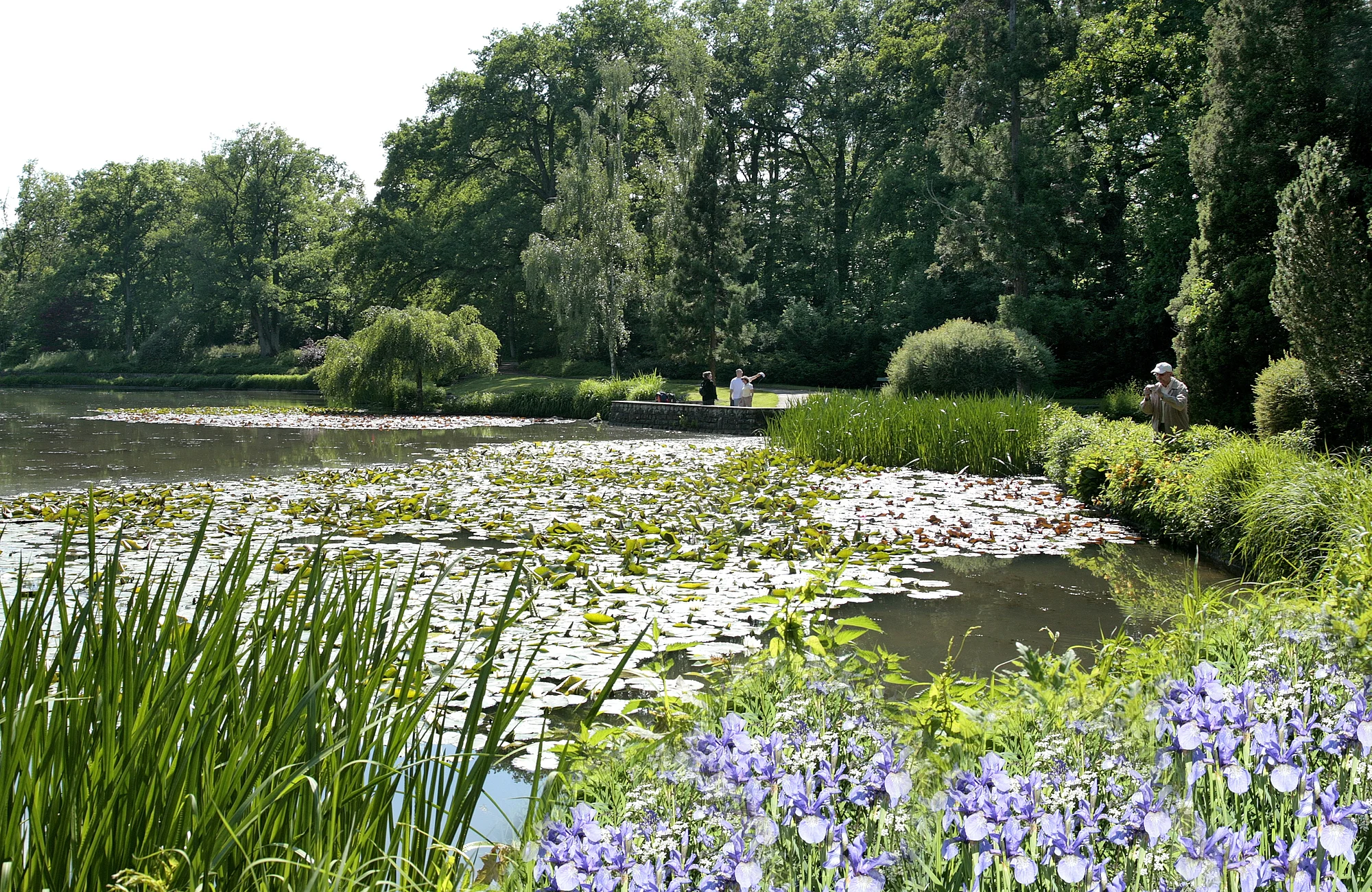 Stadtpark Hain Der Stadtpark mit Theresien- und Luisenhain sowie botanischen Garten verfügt über viele Spazierwege. Vom ehemaligen Mühlenviertel aus oder am Alten Kanal entlang der Regnitz gelangt man in wenigen Minuten auf romantischen Pfaden in dieses Naherholungsgebiet.