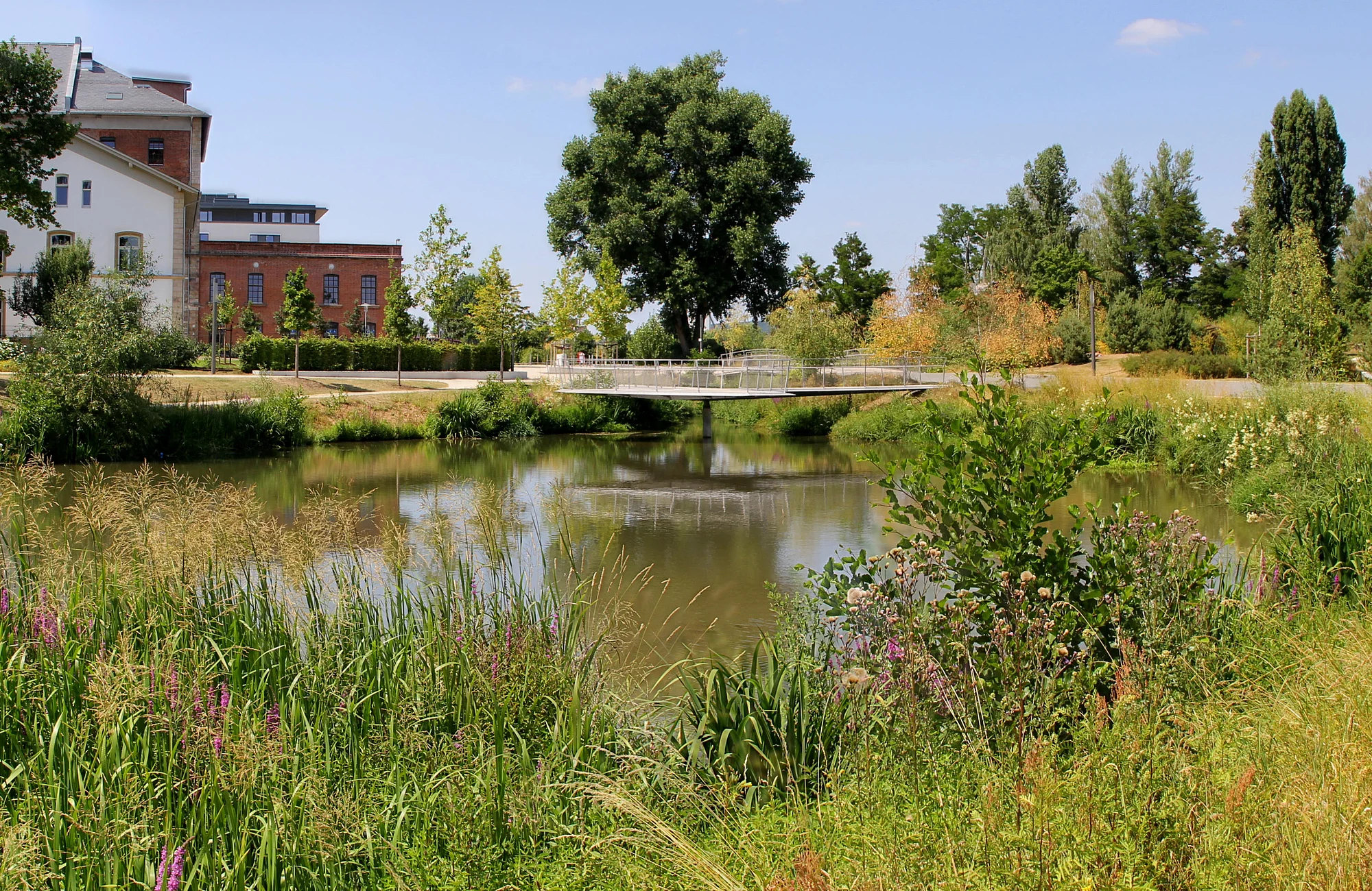 Erba Park Grünes Gewächs und Gewässer im ERBA-Park, auf dem ehemaligen Gelände der Landesgartenschau 2012.