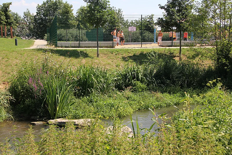 Erba Park Grünes Gewächs und Gewässer im ERBA-Park, auf dem ehemaligen Gelände der Landesgartenschau 2012.