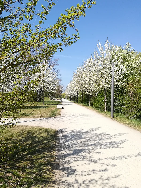 Erba Park Ein Foto vom ERBA-Park, auf dem ehemaligen Gelände der Landesgartenschau 2012.