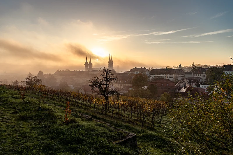 Weinberg am Michaelsberg Die Sonne geht über dem Bamberger Dom auf mit dem Weinberg am Michaelsberg im Vordergrund.